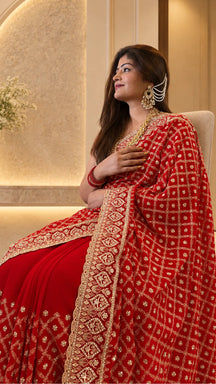 Raktamber Embroidered & Sequinned Saree