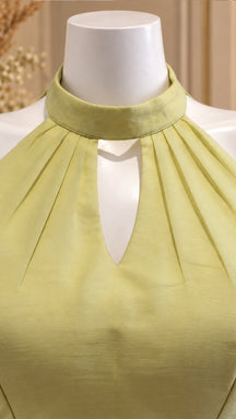 Pistachio Green Halter-Neck Open-Back Designer Blouse