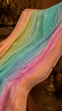 Rangrez Pastel Chiffon Saree